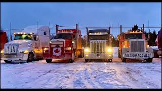 "Конвой Свободы" (Freedom Convoy) в Канаде. Рассказ участника.