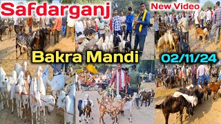 Safdarganj Bakra mandi 02/11/24 Live Update |Safdarganj Bakra mandi New Video |Bakra Mandi Update