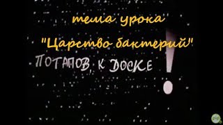 тема урока "Царство бактерий" из к/ф "Потапов, к доске" 2007 г.