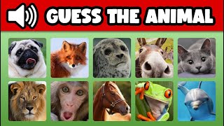 Can you guess the animal? 🔉