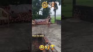 #funny #funnyshorts #funnyvideo #fun #comedyvideo #comedy