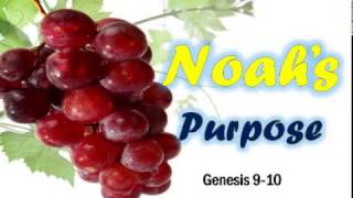 Noah's Purpose