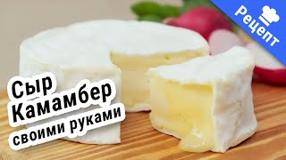 ФРАНЦУЗКИЙ СЫР "Камамбер", нежный и вкусный!  #Рецепт