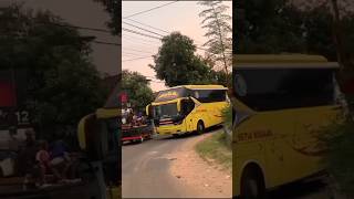 Telolet Basuri❗Bus ZEUS Masuk Ke Desa📍😲 #fyp #shorts #setianegara #teloletbasuri #telolet