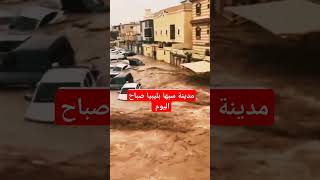 #trending #ترند #اكسبلور #تيك_توك #المغرب_العربي المغرب #المغرب #الجزائر #ليبيا #shorts #viralvideo