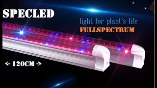 Линейные LED фитолампы 120см или если больше нечем забор подпереть. Фитолампа для рассады