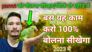 how to a parrot speak/पैरोट ko जल्दी बोलना कैसे सिखाएं2023//how to train parrot talking  2023