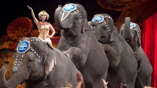 Elephants Perform Final Ringling Brothers Show