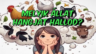 Melyik állat hangját hallod? Találd ki!