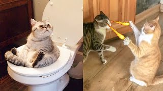 Try Not To Laugh While Watching Funny Animals Compilation (2021) #89