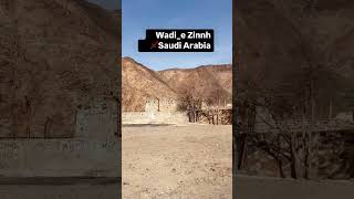 Wadi e zinnh saudi arabia…#shorts #nature #youtubeshorts #motivation #lovestatus #beutifull #viral