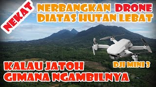 Nerbangkan Drone dji mini 3 diatas Hutan Lebat