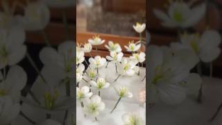 Silk Threads，Free tutorials and more beautiful Ronghua:https://fullflowers-china.myshopify.com