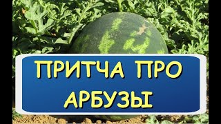 Притча про арбузы. 3 подкаст из цикла Истории древности