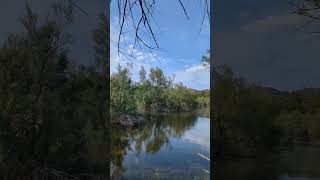 Naturaleza y recitado #naturaleza #paisaje #lago #agua #paz #relax #vidatranquila #buenasvibras