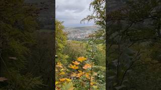 Kattstein bei Sollstedt ⛰️🍁🍃 #deutschland #thüringen #wald #германия #горы #лес #germany #travel