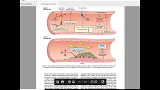 Hemostasis part III Robbins & Cotran Pathologic Basis of Disease - 10th Edition