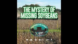 The Mystery of The Missing Soybeans