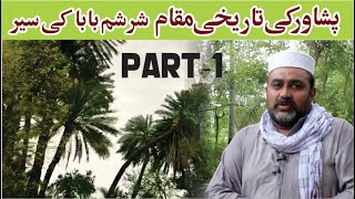 Sharsham Baba I Haryangarh | Chagharmatti | Kajoor | Peshawar I Zay Food Reviews