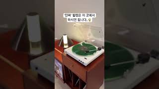 1박 20만원대 찐 힐링 가능한 고성 독채 감성숙소 파우제 🌱 푸릇푸릇한 식물이 가득한 곳에서 조식으로 마무리하는 1박 여행