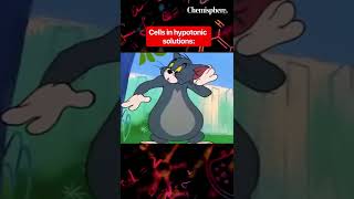 Osmosis explained using #tomandjerry #jeeadvanced #neet #jeemains #chemistry #jee #chemistrymemes