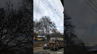 The Magic Tree of Banihal, J&K