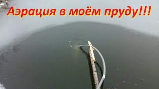 Сделал аэрацию на своём пруду! Разведение и выращивание рыбы! Мой пруд без плёнки!