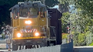 Sierra Northern train SERA 2666 dropping off woodchip cars at the depot 1-10-2024