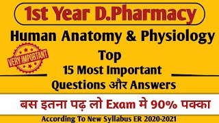 D.Pharmacy 1st Year ke Liye Human Anatomy & Physiology ke Top 15 Long Questions aur Answers