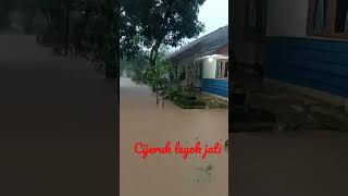 Cijeruk banjir desa sancang