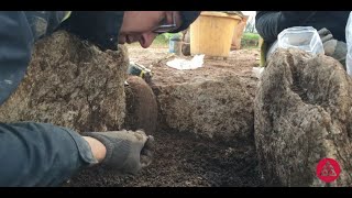 Excavation of a probable Bronze Age cist burial - M28 Cork to Ringaskiddy Project