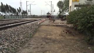 Legendry shane Punjab express with WAP5 at MPS