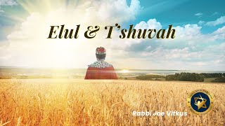 Elul & T'shuvah | Rabbi Joe Vitkus | FRI Sept 06, 2024 | Taklife.org