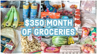 ONE MONTH GROCERY HAUL | Grocery Budget Challenge 2022