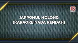 JERICHO SILALAHI - SAPOHUL HOLONG NADA RENDAH KARAOKE