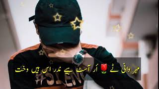 Ustad Noor Hayat Brahvi status Song 2019 Hd status | نور حیات براہوئ سٹیٹس سونگ