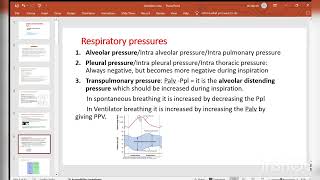 Basics of Ventilator Part-1/4✅️(Respiratory Physiology)