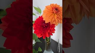 Dahlia flower arrangement,  flower vase decoration #dahlia #flowers #plants #garden #flowervase