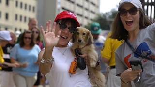 Williams Subaru Loves Pets - Charlotte Knights Bark in the Ballpark 2019