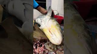 King fish, cutting video ##￼