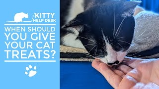 When Should You Give Your Cat Treats?