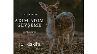 Adım Adım Gevşeme - Anksiyete / Panik Atak / Kaygı Bozukluğu / Uyku Sorunları