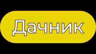 Подкармливаю огурцы во время цветения и плодоношения, чтобы увеличить урожай