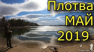 Плотва (сорога) 5 МАЯ. Рыбалка 2019