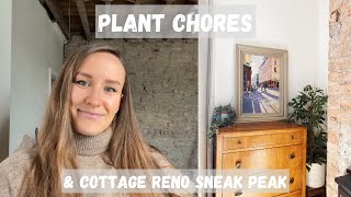 Plant Chores | Cottage Reno Update