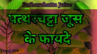 पत्थरचट्टा जूस पीने से कई बीमारियों में मिलता है फायदा,पीने का तरीका  Patharchatta Juice ke Fayde।।