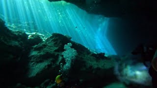 Cavern Diving in a Cenote: See the Halocline Effect for yourself- the surreal underwater world!