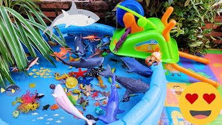 SEA ANIMALS FOR TODDLERS: WHALE SHARK, GIANT ISOPOD, GURNARD, SPIDER CRAB, SEA LION, AND OTHERS