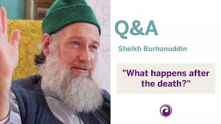 Q&A 24 (ENG) "What happens after the death?"