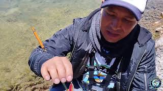 Recomendaciones para aquellos que piensan pescar con Mariposa y Señuelo PESCA DEPORTIVA 🐟🎣🐠